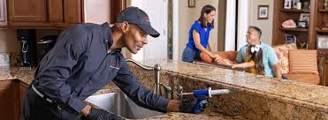 Best Pest Control for Multi-Family Homes  in Bellview, FL